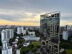 Irwell Hill Residences (D9), Apartment #455055091